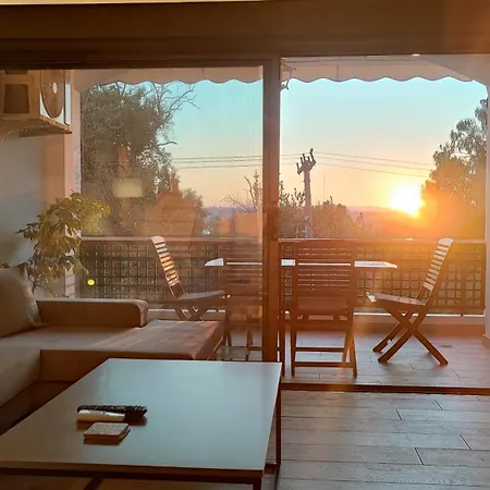 Coryfo 47 Análipsis