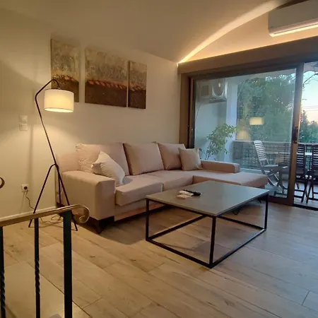 Coryfo 47 Análipsis