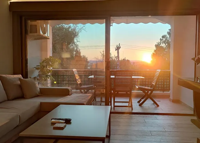 Coryfo 47 Análipsis